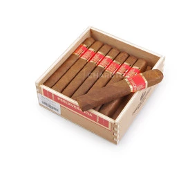 Charuto Perceverancia Robusto Quadrado - Caixa com 16