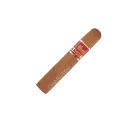 Charuto Perceverancia Robusto Quadrado - Unidade