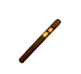 Charuto com Defeito - Partagas Aliados