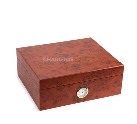 Umidor para 55 Charutos - Rádica Escura