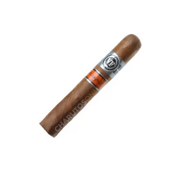 Charuto Vegafina Nicaragua Robusto - Unidade